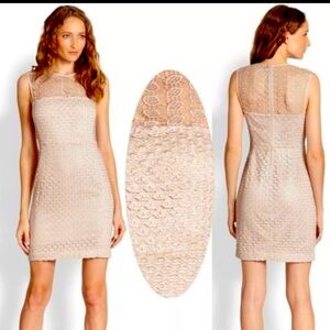 Diane Von Furstenberg Kinchu Lace
Nude Illusion Yoke Sheath Dress $375
Size 8